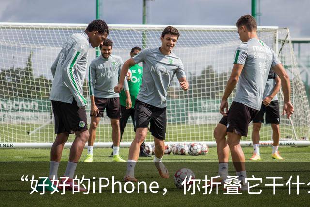 “好好的iPhone，你折叠它干什么玩意儿呢？”