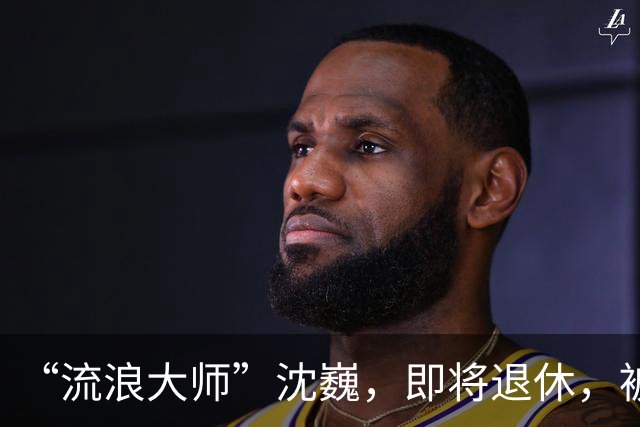 “流浪大师”沈巍，即将退休，被封号