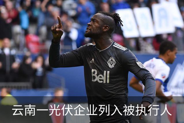 云南一光伏企业列入被执行人