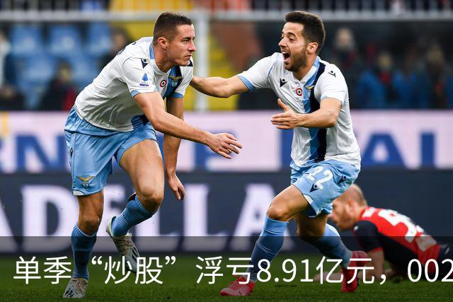 单季“炒股”浮亏8.91亿元，002074跌停