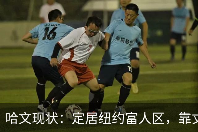 哈文现状：定居纽约富人区，靠丈夫遗产和女儿很潇洒，没有再婚