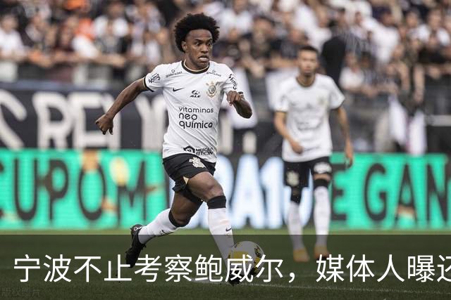 宁波不止考察鲍威尔，媒体人曝还在考察广厦旧将沃顿