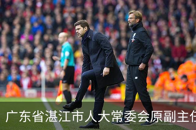 广东省湛江市人大常委会原副主任陈云被开除党籍