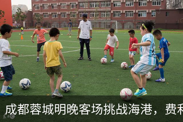 成都蓉城明晚客场挑战海港，费利佩复出：现在说什么不重要，关键是决心和表现
