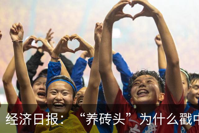 经济日报：“养砖头”为什么戳中年轻人？