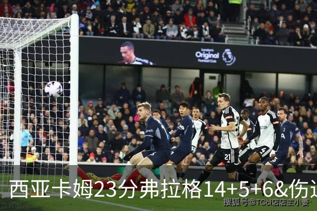 西亚卡姆23分弗拉格14+5+6&伤退 独行侠轻取步行者