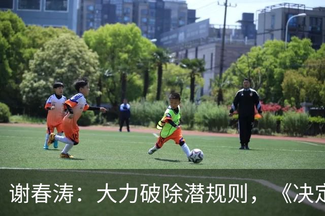 谢春涛：大力破除潜规则，《决定》强调从立明规矩做起