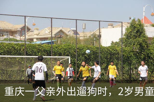 重庆一父亲外出遛狗时，2岁男童从18楼家中坠亡，母亲以“过失致人死亡”报案，警方已受理