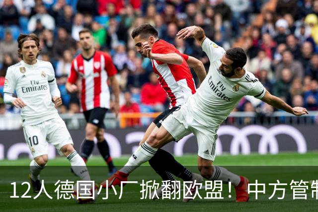 12人德国小厂掀翻欧盟！中方管制精准命中，光刻机巨头坐不住了？