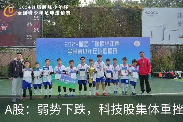 A股：弱势下跌，科技股集体重挫，释放什么信号？二次探底来了吗?
